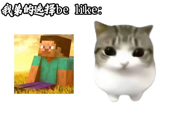 我弟的选择Be like:截图