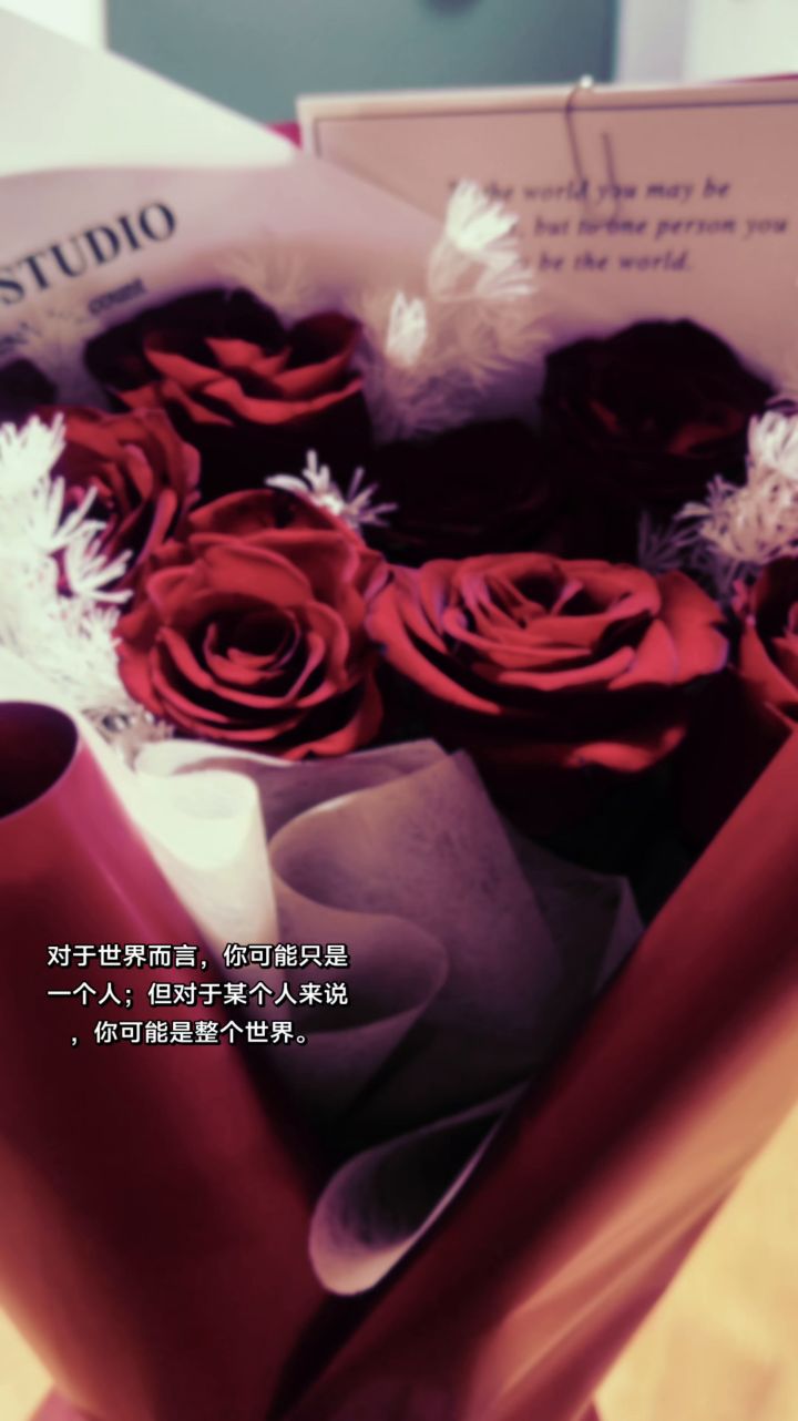 我的花园世界截图