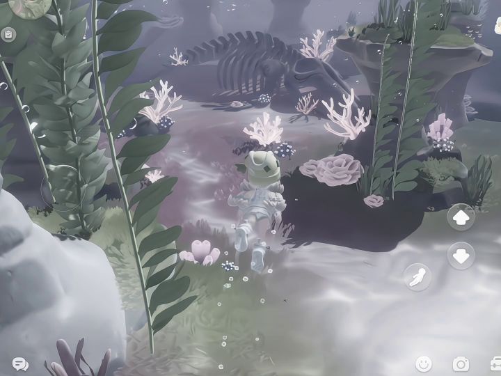 鲸落区,真美截图