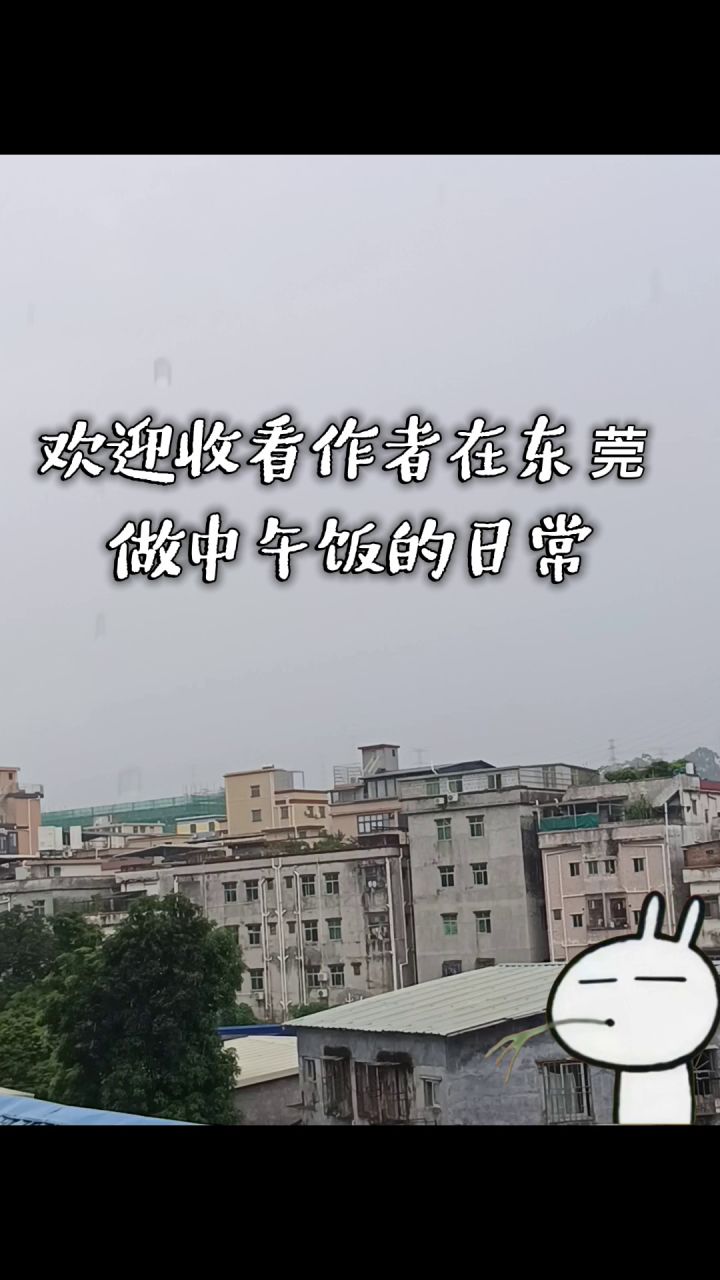 欢迎收看作者在东莞 做中午饭的日常截图