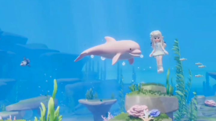 “clear underwater cute dolphins”截图