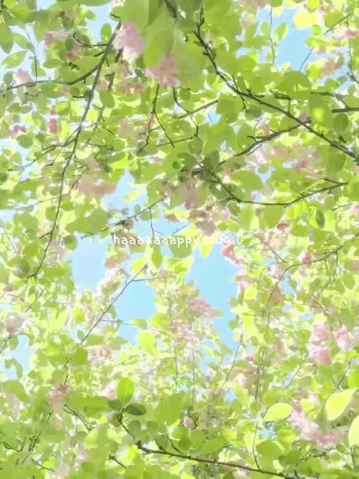 第一次嘿嘿(没材料,只能搜)截图