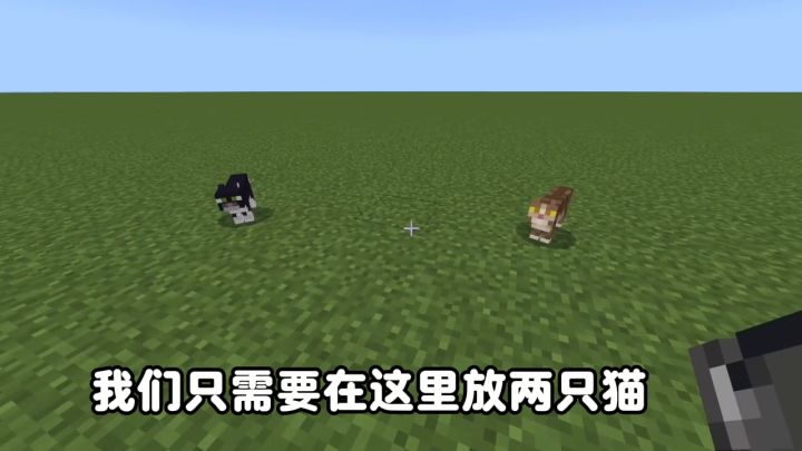 不是哥们截图