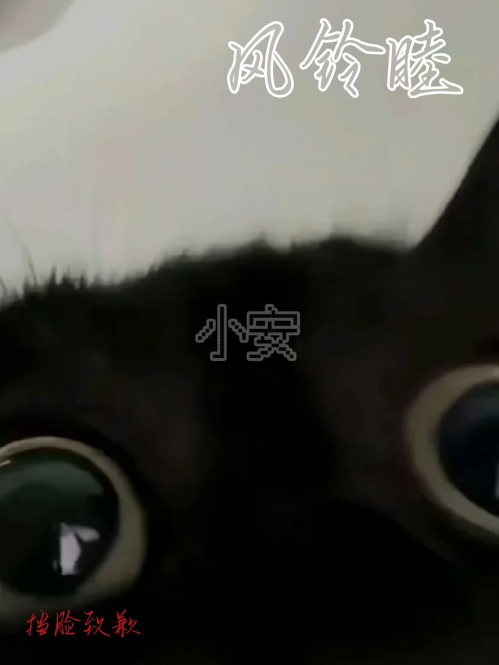 今日代号梦核角色介绍之小安截图