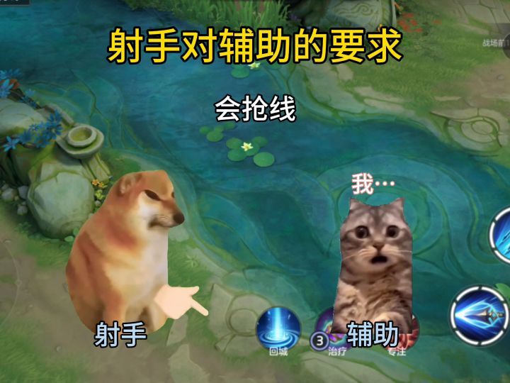 射手对辅助的要求截图