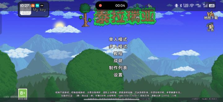 bug截图