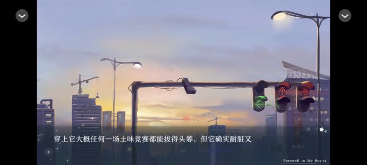 《榆树上的荔枝花》截图