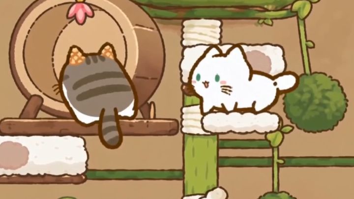 猫咪日记丨第一期截图