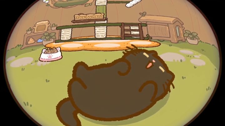 猫咪日记丨第二期截图