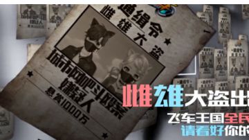 雌雄大盗出没！飞车王国全民警戒！请看好你的口袋！