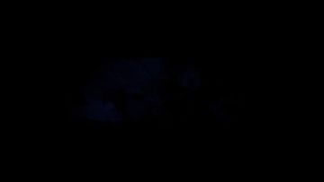 DBN更新！《影之诗》新版本宣传视频曝光上线