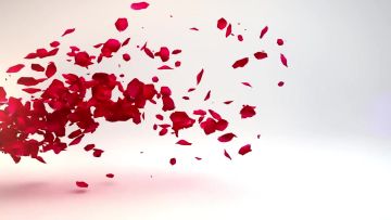 【视频】妖尾第三季