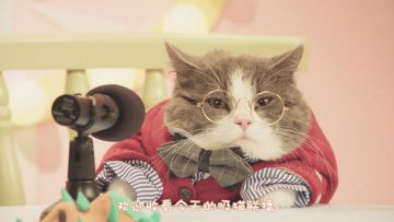 【活动】4.12去猫岛开黑！《非人学园》开启花式吸猫大赛